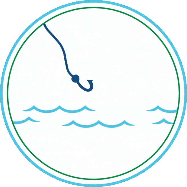 Explorepaynesvillefish
